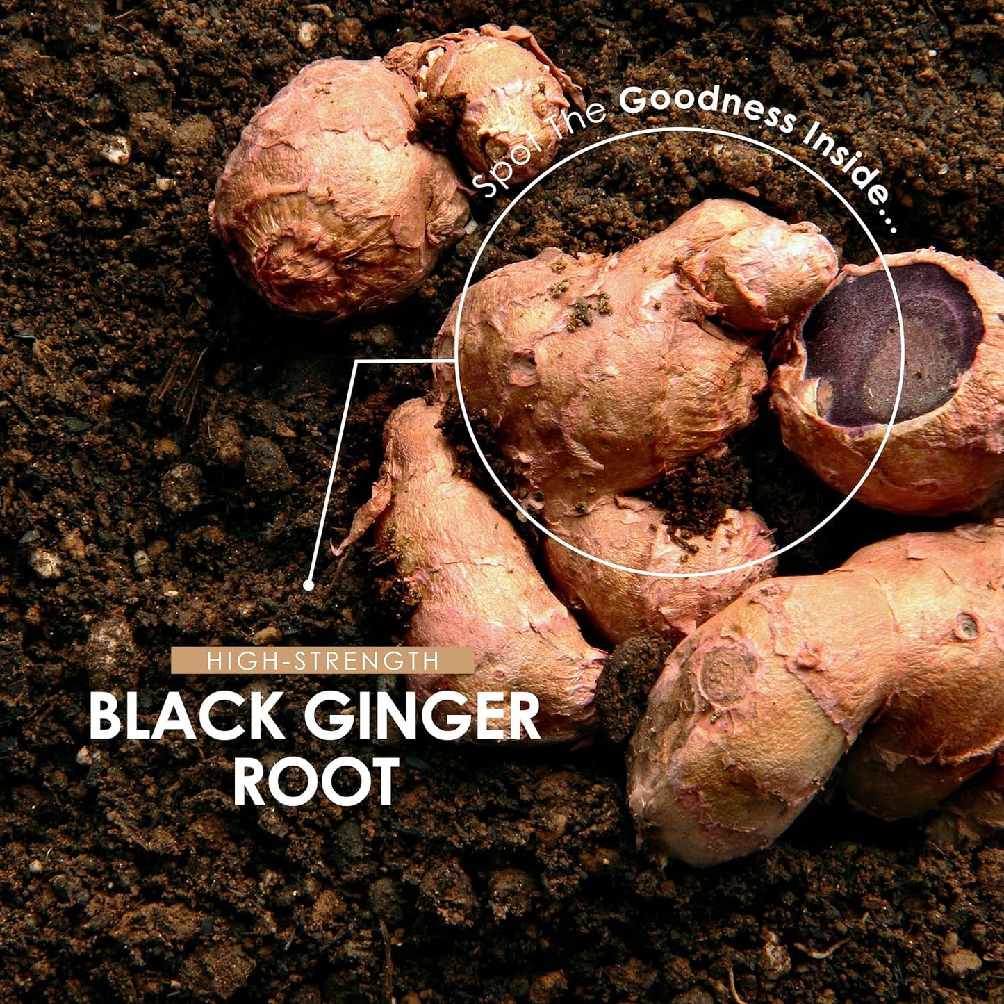 Black Ginger Extract 1950Mg – High Strength 4% Dimethoxyflavo