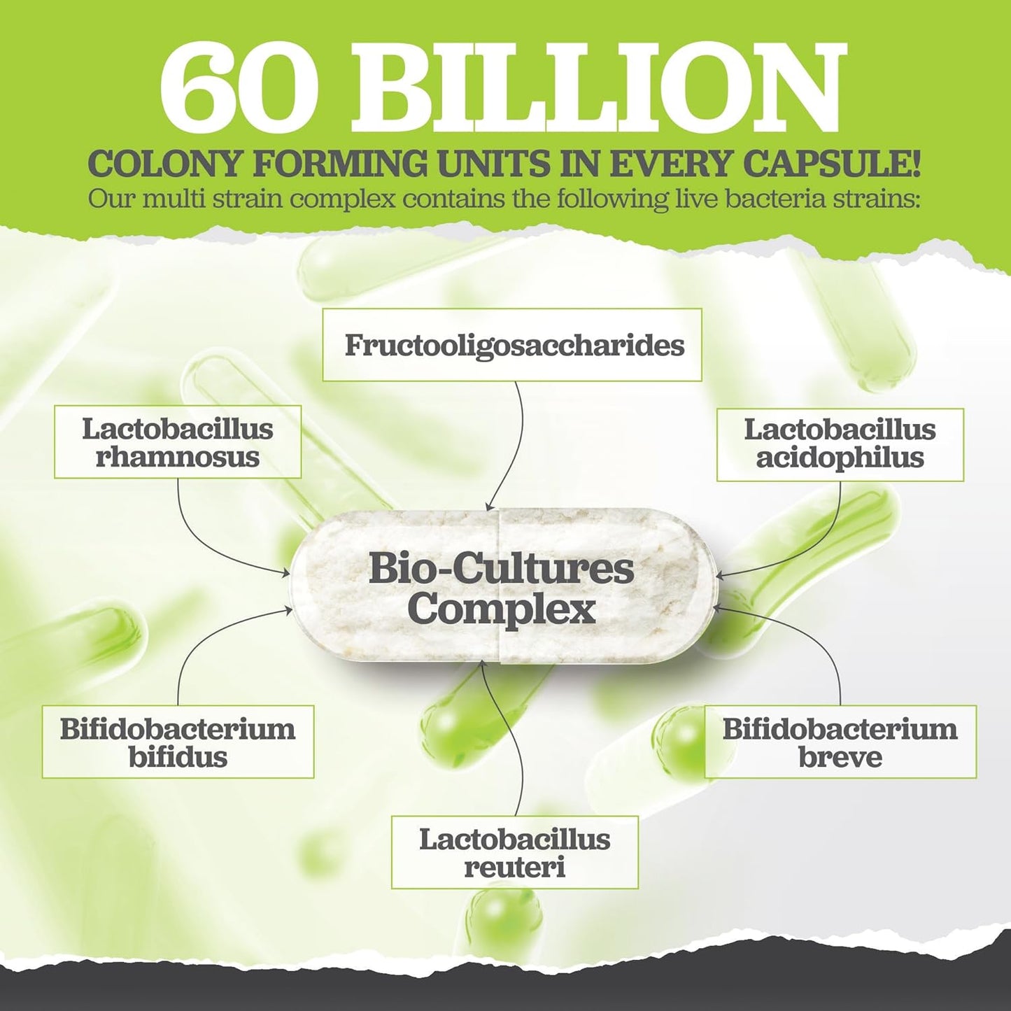 Bio Cultures Probiotics 60B CFU – 60 Capsules