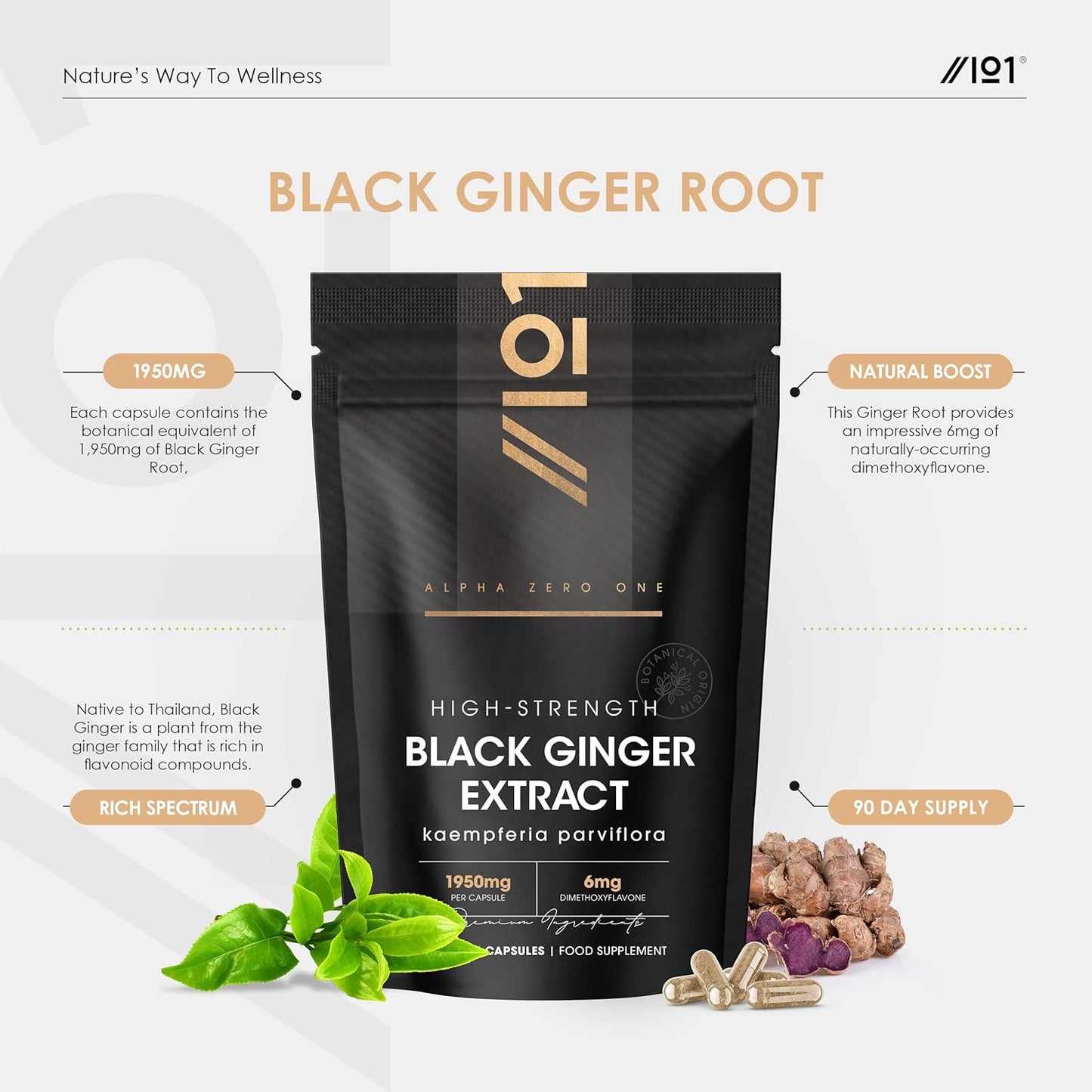 Black Ginger Extract 1950Mg – High Strength 4% Dimethoxyflavo