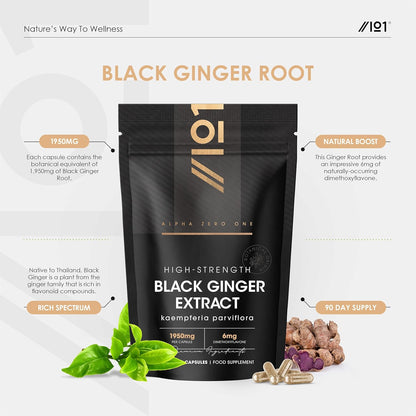 Black Ginger Extract 1950Mg – High Strength 4% Dimethoxyflavo