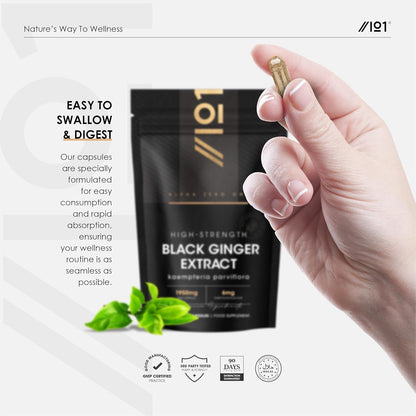 Black Ginger Extract 1950Mg – High Strength 4% Dimethoxyflavo